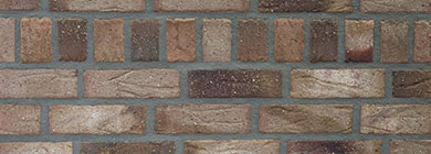 Mergelbraunbunt Feldbrand